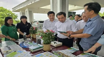 خطط دولية جديدة لزيادة دعم التمويل الأخضر الموجه لنماذج خفض الانبعاثات الكربونية